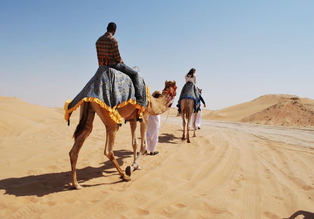 Wüstentour auf Kamel in Abu Dhabi