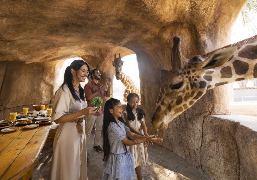 Frühstück mit einer Giraffe im Emirates Zoo